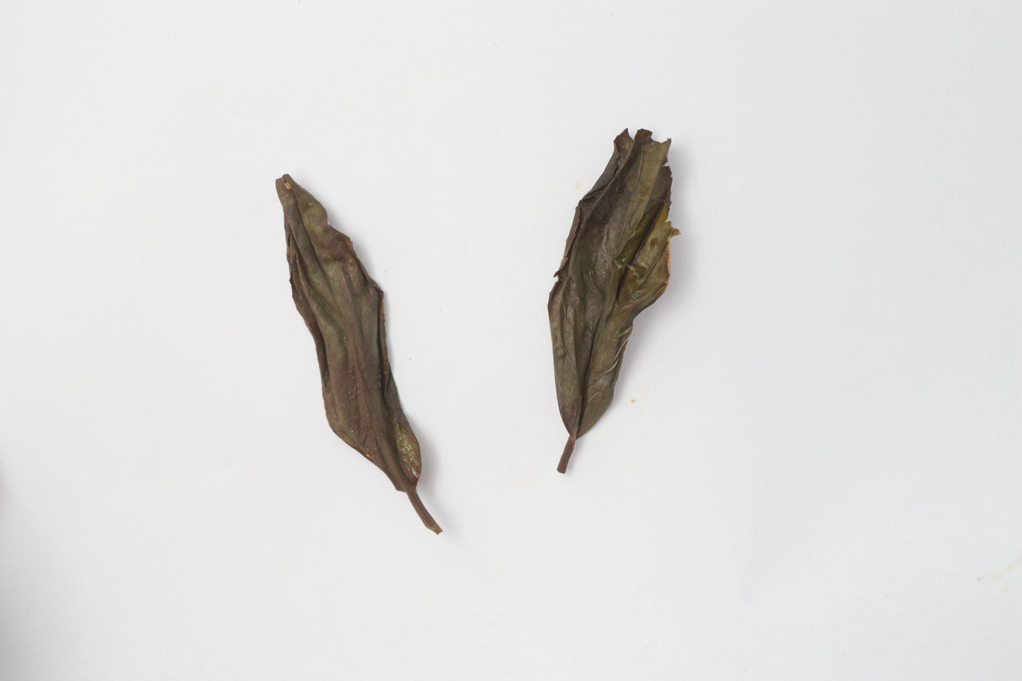Duckshit Aroma (Ya Shi Xiang) – Reserve